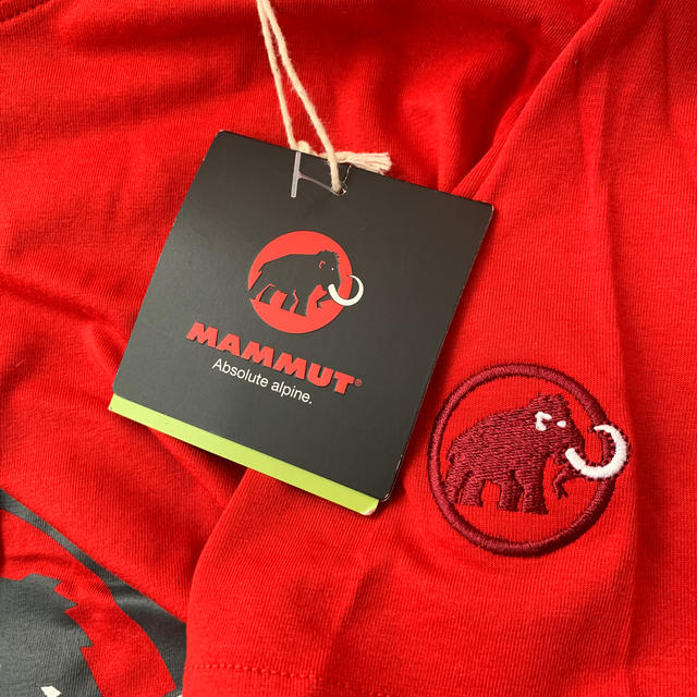 Mammut(マムート)のMAMMUT Tシャツ メンズのトップス(Tシャツ/カットソー(半袖/袖なし))の商品写真