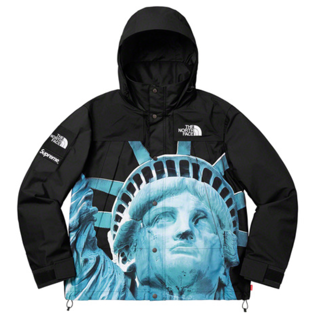 supreme the north face mountain jacket