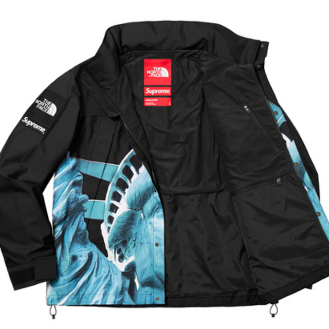 supreme the north face mountain jacket