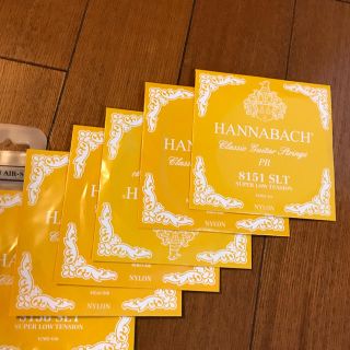 【ラギー様専用】 HANNABACH 815SLT ハナバッハ(クラシックギター)