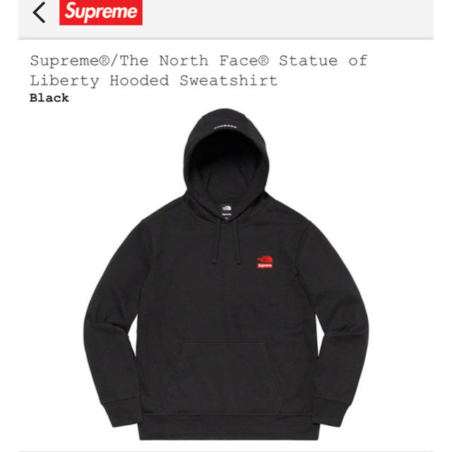 supreme north face hoodie hooded M black