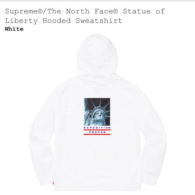 Supreme The North Face HoodedSweatshirt