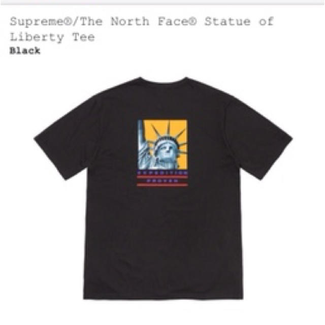 【S】Supreme The North Face Tシャツ　ノースフェイス