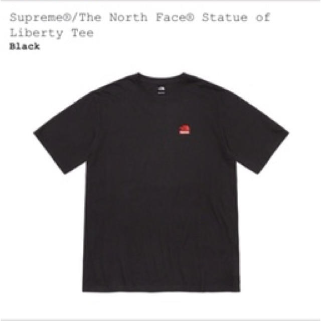 【S】Supreme The North Face Tシャツ　ノースフェイス