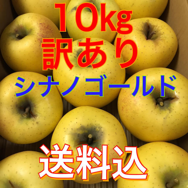 【送料込】訳あり葉とらずりんご シナノゴールド 約10kg 24個入り 食品/飲料/酒の食品(フルーツ)の商品写真