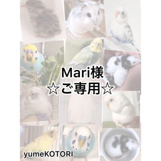 Mari様☆ご専用☆ カミカミ葉っぱ、じゃらチャラマラカスおもちゃ♪(鳥)