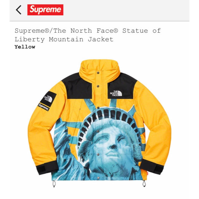 L 19AW Supreme The North Face マウンテンジャケットマウンテンパーカー