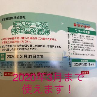 【ぽるて様専用】サマーランド　株主優待券　2枚　(遊園地/テーマパーク)