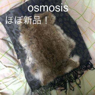 オズモーシス(OSMOSIS)のほぼ新品！(マフラー/ショール)