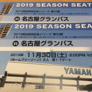 ジュビロ磐田vs名古屋グランパス 11/30 ホームフリーゾーン大人2枚セット(サッカー)