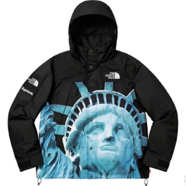 Supreme®/The North Face® Mountain Jacket