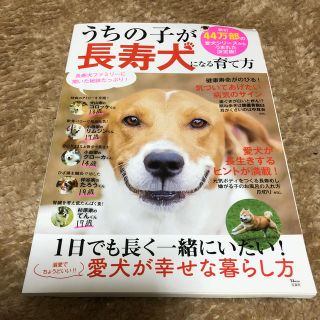 タカラジマシャ(宝島社)の犬の育て方の本、ペット、長寿犬(犬)