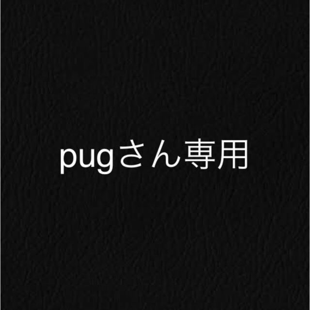 Panasonic(パナソニック)のpanasonic 布団乾燥機　pugさん専用 スマホ/家電/カメラの生活家電(衣類乾燥機)の商品写真