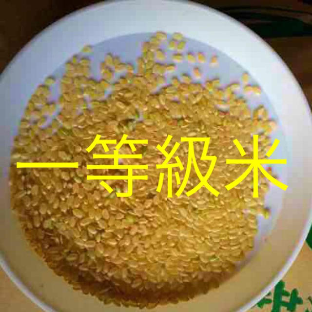 かずちゃん米　無農薬　特選新米純こしひかり10㎏ 玄米 食品/飲料/酒の食品(米/穀物)の商品写真