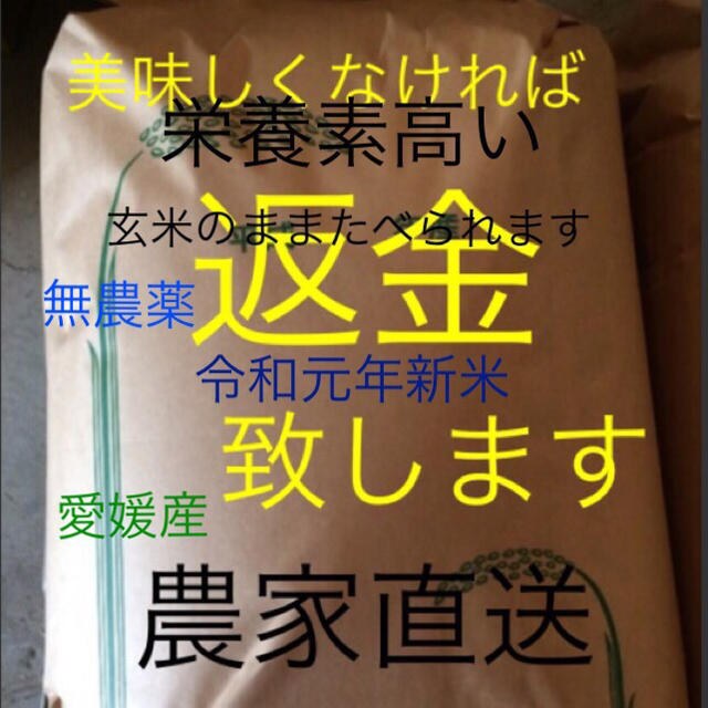 たけちよ様専用　かずちゃん米　無農薬　特選新米純こしひかり30㎏ 精米 食品/飲料/酒の食品(米/穀物)の商品写真
