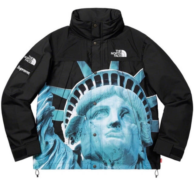 supreme  the north face mountain jacket