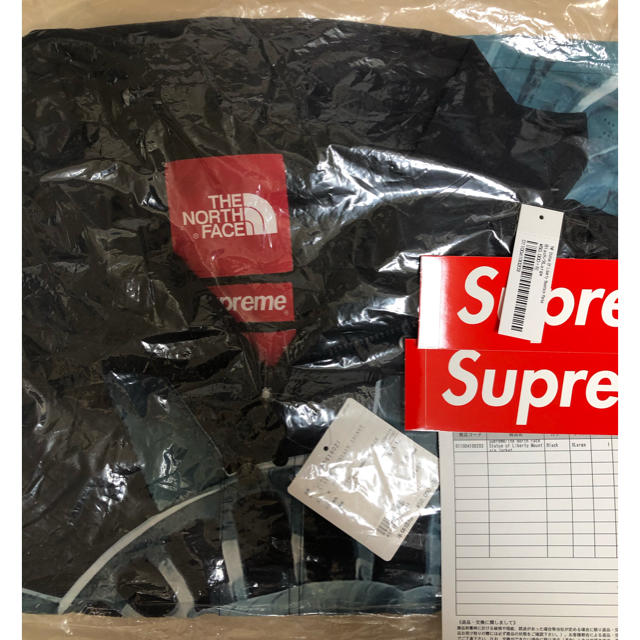 全品送料無料】 THE NORTH FACE - 専用 XL Statue of Liberty Mountain