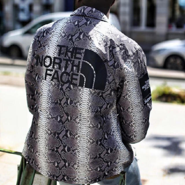 Supreme(シュプリーム)のSupreme The North Face Snakeskin Jacket メンズのジャケット/アウター(ナイロンジャケット)の商品写真