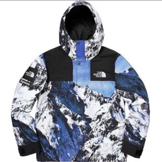 シュプリーム(Supreme)のSupreme 17aw The North Face Mountain SET(マウンテンパーカー)