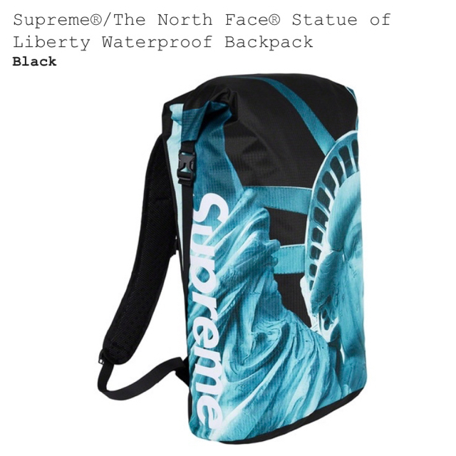 Supreme The North Face Backpack Black