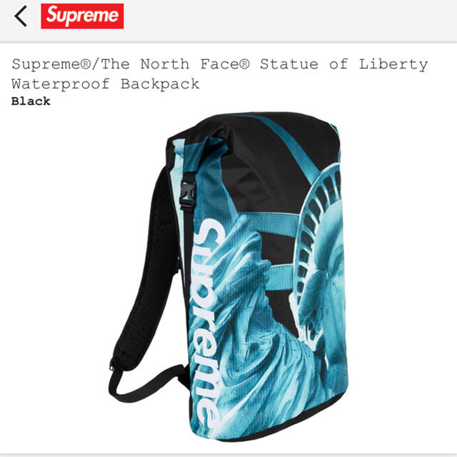 バッグパック/リュックsupreme×The North Face Statue of Liberty