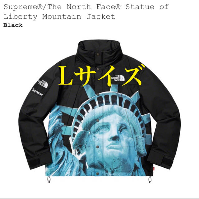 送料込　Supreme TNF S Logo Mountain Jacket L