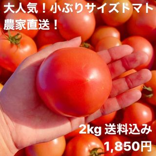 採れたて！小ぶりトマトたっぷり2キロ☆農家直送　岐阜県(野菜)