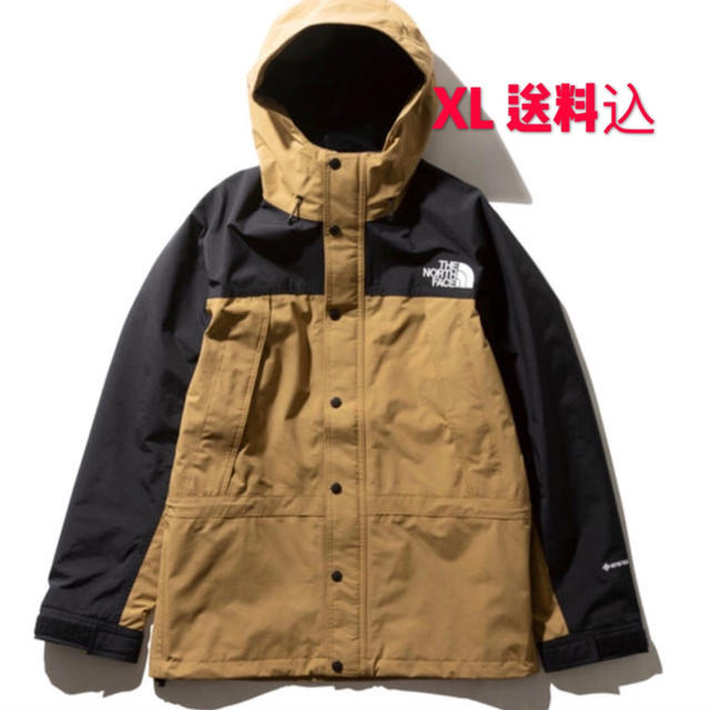 THE NORTH FACE MOUNTAIN LIGHT JACKET