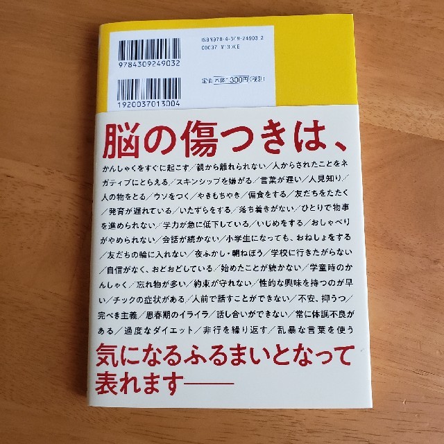 脳を傷つけない子育て エンタメ/ホビーの本(人文/社会)の商品写真