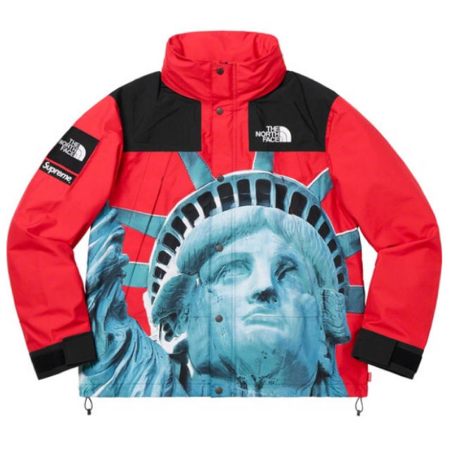 Supreme The North Face Mountain Jacket