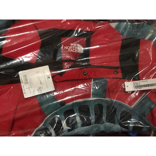 Supreme The North Face Mountain Jacket 1