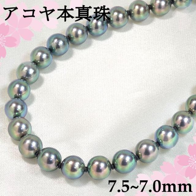 ネックレスアコヤ本真珠ネックレス 7.5~7.0mm パール PNM022