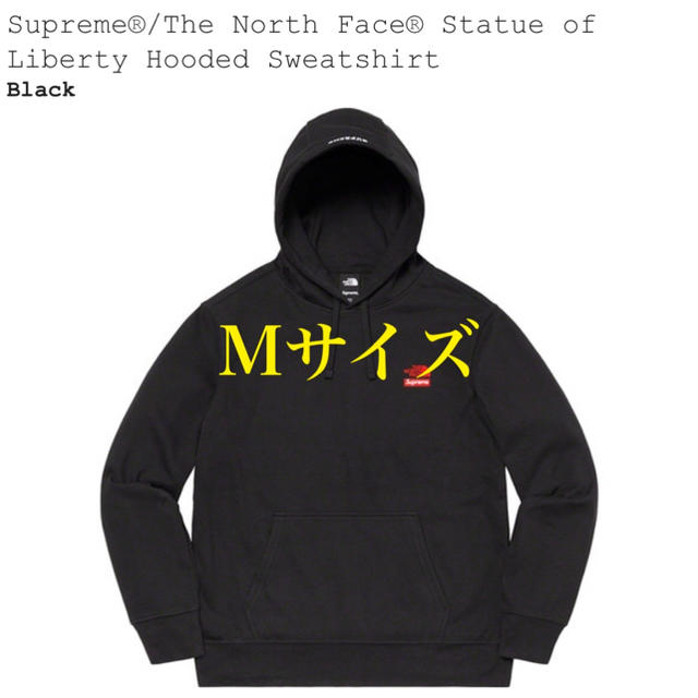 Supreme The North Face フーディー Mサイズ