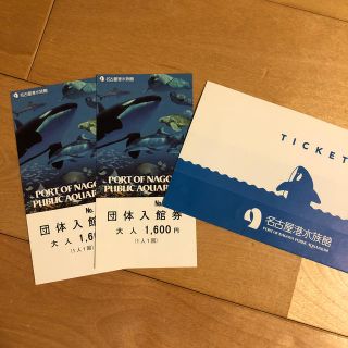 名古屋港水族館 大人チケット 2枚(水族館)