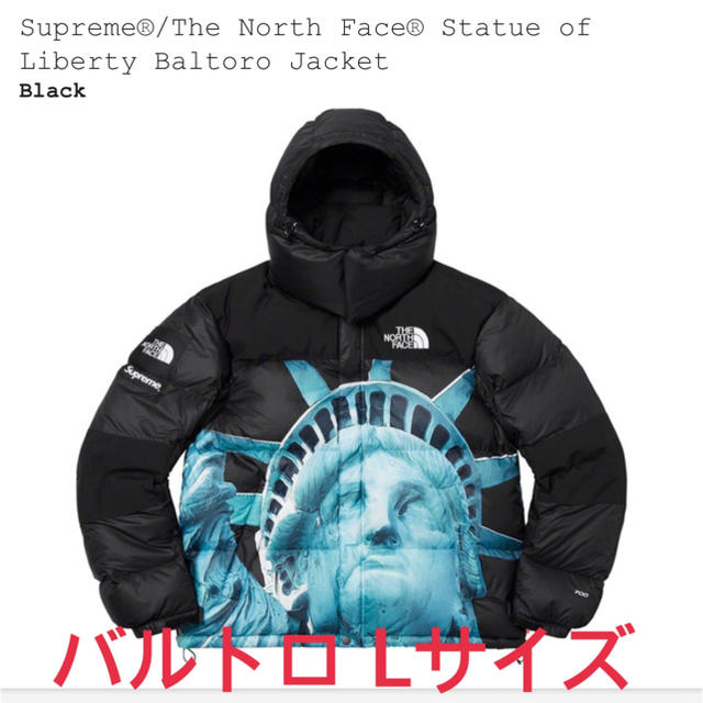 supreme the north face baltoro jacket L