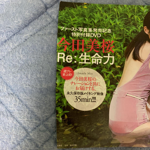 集英社(シュウエイシャ)の今田美桜 プレイボーイDVD エンタメ/ホビーの本(アート/エンタメ)の商品写真