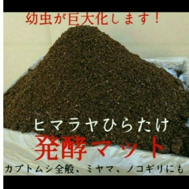 送料無料！80リットル　カブトムシ幼虫の餌　ヒマラヤひらたけ発酵マット　巨大化！ その他のペット用品(虫類)の商品写真