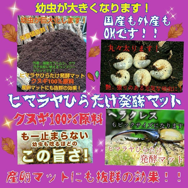 送料無料！80リットル　カブトムシ幼虫の餌　ヒマラヤひらたけ発酵マット　巨大化！ その他のペット用品(虫類)の商品写真