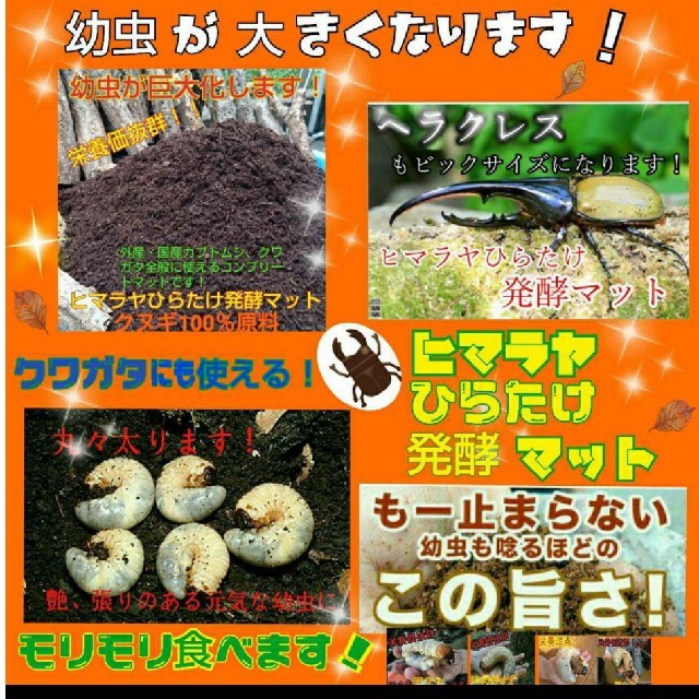 送料無料！80リットル　カブトムシ幼虫の餌　ヒマラヤひらたけ発酵マット　巨大化！ その他のペット用品(虫類)の商品写真