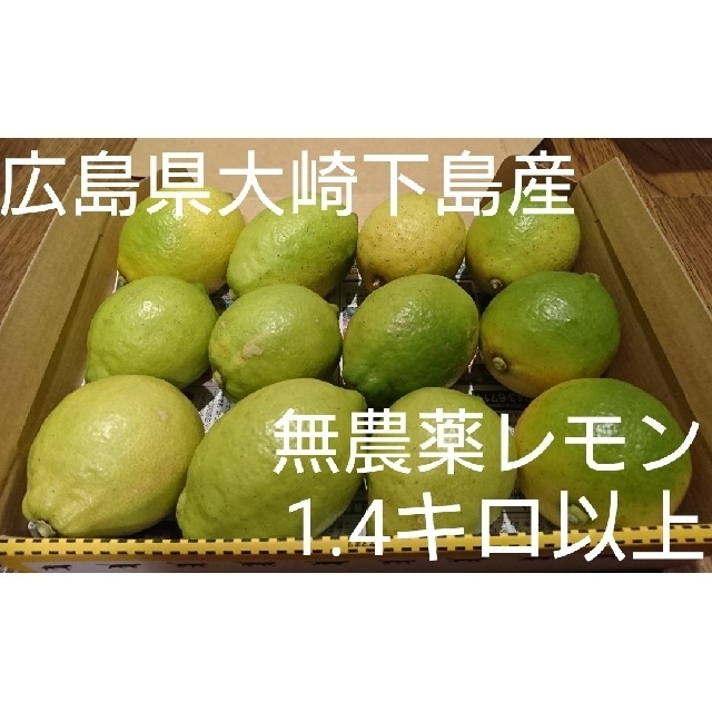 広島県大崎下島産 無農薬レモン1.４キロ 食品/飲料/酒の食品(フルーツ)の商品写真