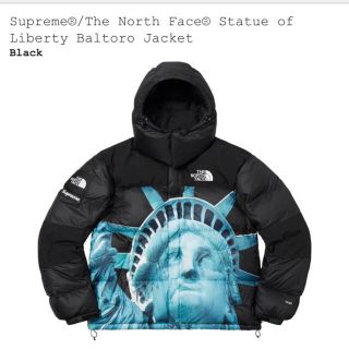 シュプリーム(Supreme)のsupreme × TNF baltoro 黒　L(ダウンジャケット)