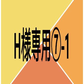 H様専用⑦-1(その他)