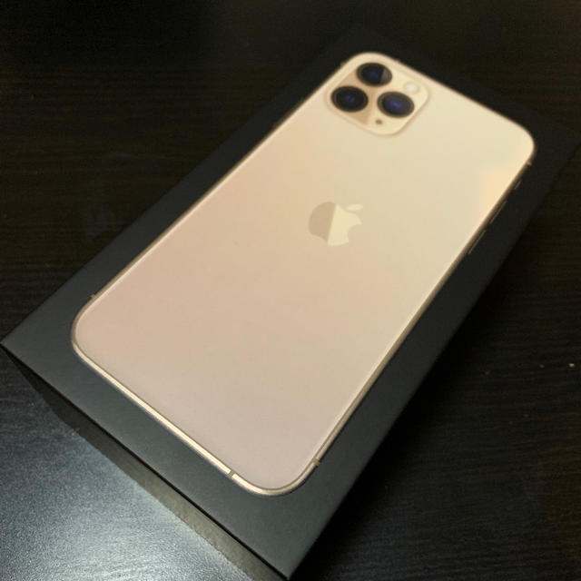Apple - ※かなさん専用 iPhone 11 Pro 64GB GOLD