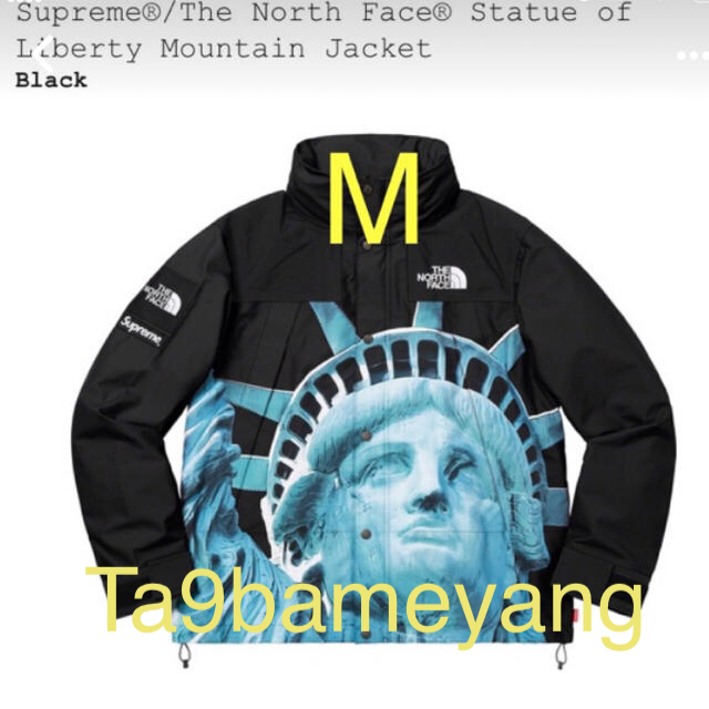 Supreme The North Face Mountain Jacket M