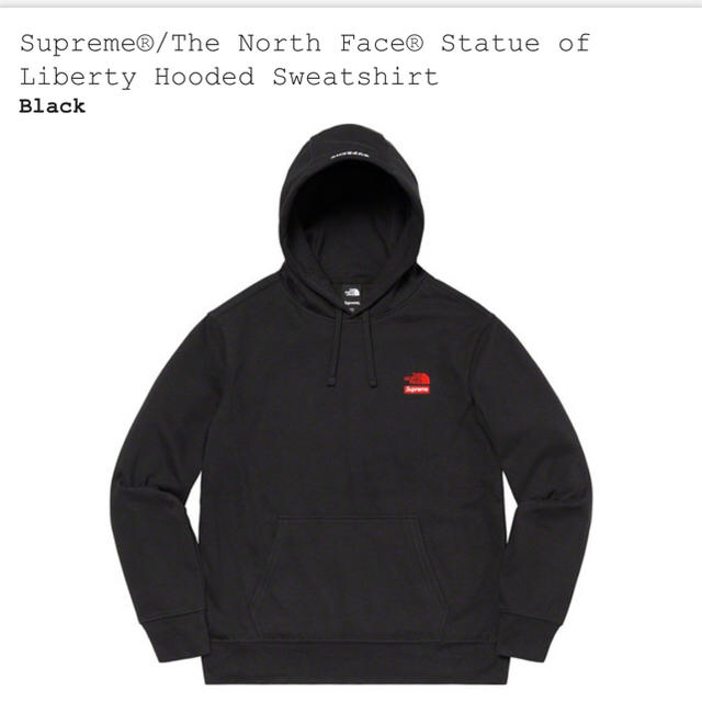 Supreme The North Face Hooded Sweatshirt