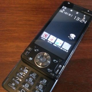 docomo P-03D black(その他)
