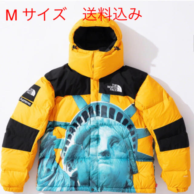 supreme the north face バルトロ ダウン Mサイズ