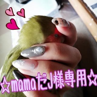 《mamaだJ様専用》♡インコちゃんのおもちゃ♡５点セット♡(鳥)