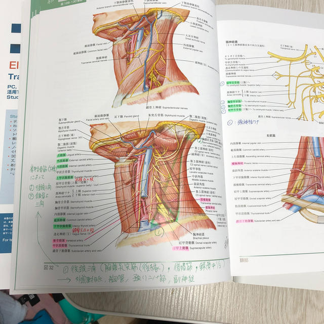 ネッター解剖学 セット版(電子書籍付)アトラス・別冊学習の手引き