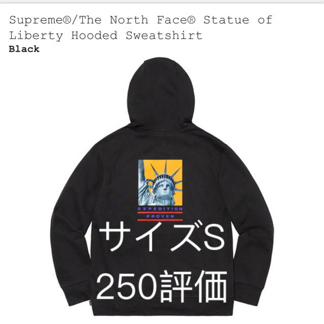 supreme north face